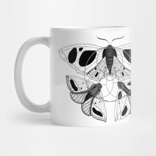 Allopatric Gallery Mug